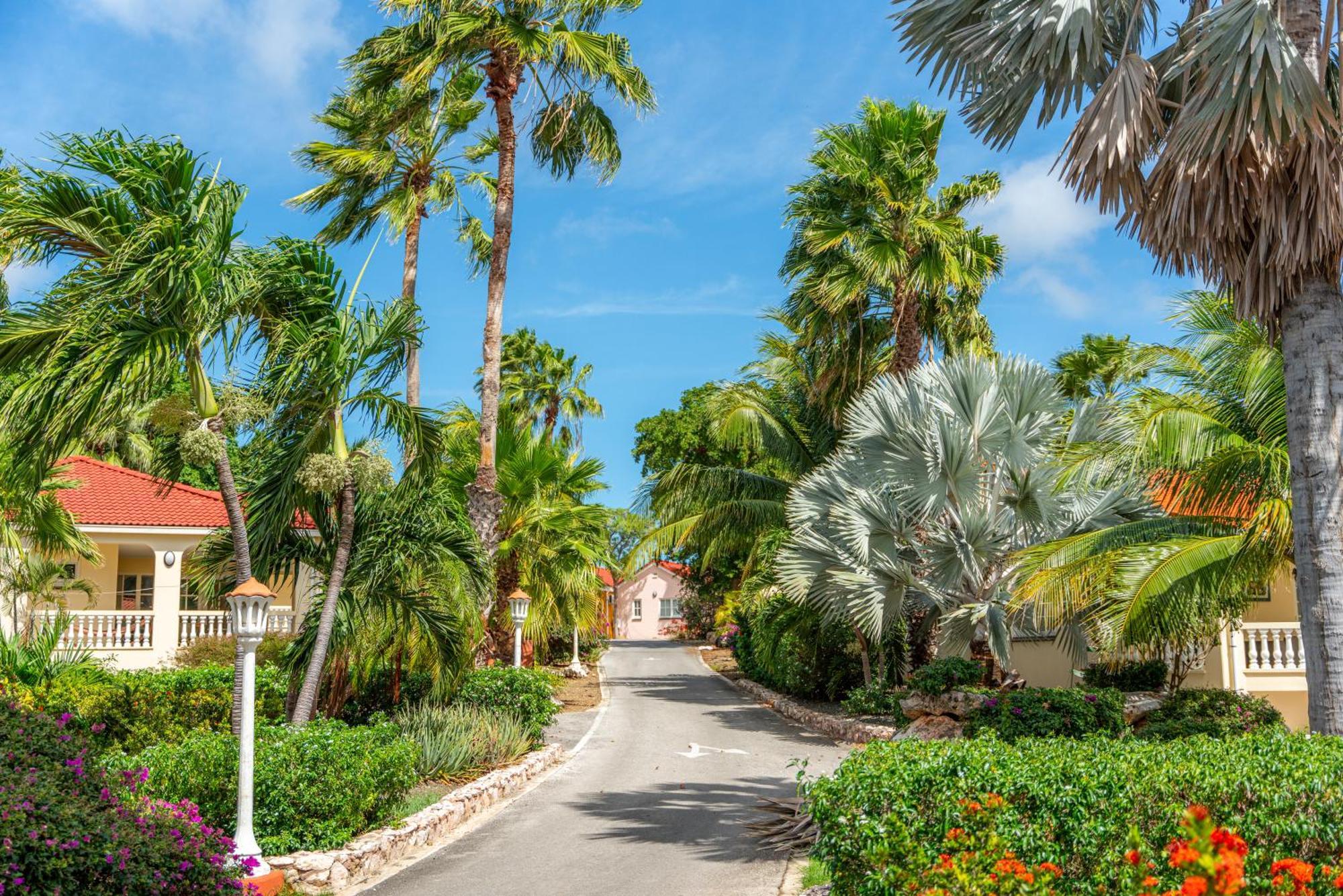 Livingstone Jan Thiel Resort Willemstad Luaran gambar
